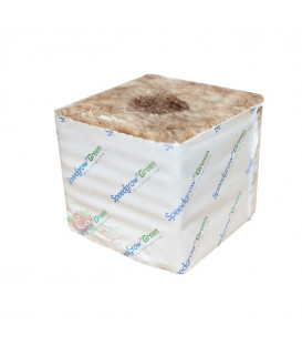 Speedgrow Green / Cultilene cube rockwool 7.5 x 7.5 x 6.5 cm