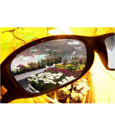 Lumii Grow room Glasses