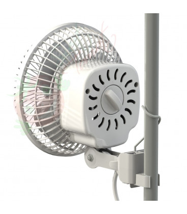 Monkey clip fan Secret Jardin