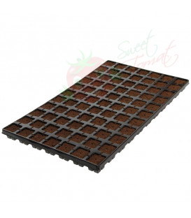 Eazy Plug tray propagation cubes 77 pcs