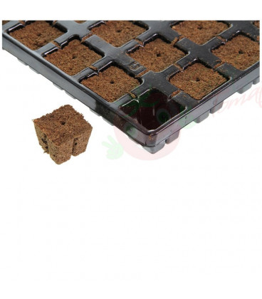 Eazy Plug tray propagation cubes 77 pcs