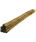 Bambus sticks 120cm 25pcs