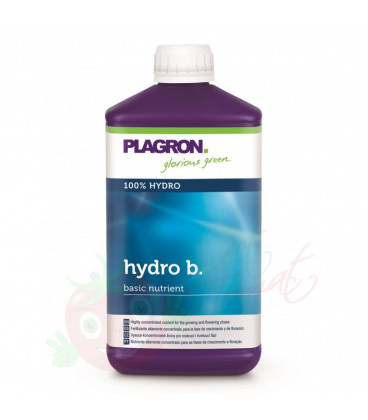 Plagron Hydro B 1L