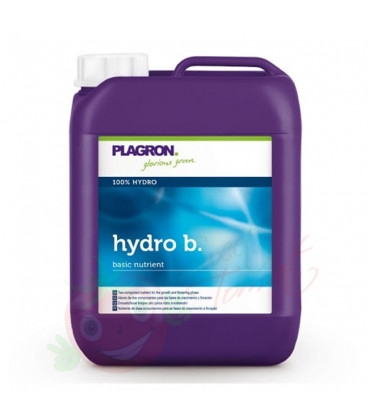 Plagron Hydro B 5L