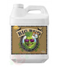 Big Bud Coco Advanced Nutrients 5L