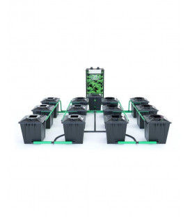 Alien RDWC 12POT Black 36L