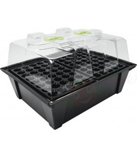 X-Stream aeroponic propagator for 80 planter