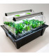 X-Stream aeroponic for 40 plants