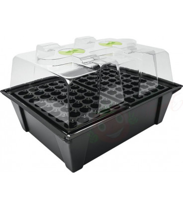 X-Stream aeroponic propagator for 80 planter