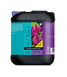 B'cuzz Blossom Builder 1L