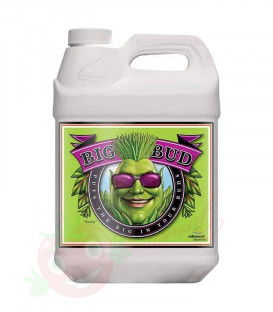 Big Bud Advanced Nutrients 4L