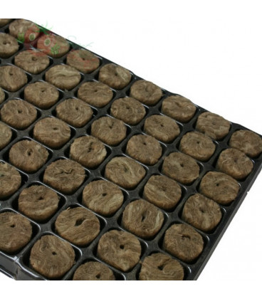 Speedgrow rockwool tray plugs ø 36mm 84pcs