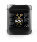 B.A.C Silica Power 5L