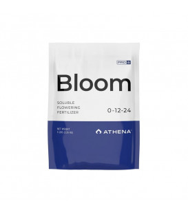 Athena Pro Line Bloom