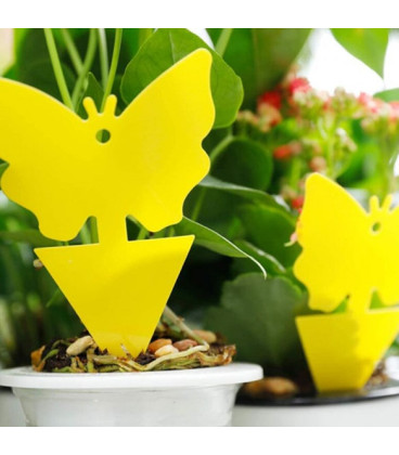 VG Garden limfeller 12×8cm – 12 stk