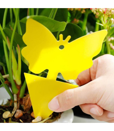 VG Garden Sticky Traps 12×8cm – 12 pcs