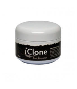 I Clone gel 15ml