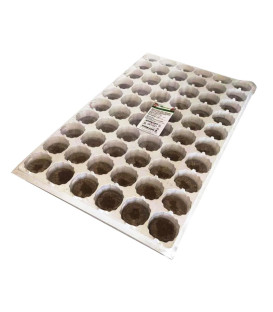 VG Garden 60 Plugs 44mm