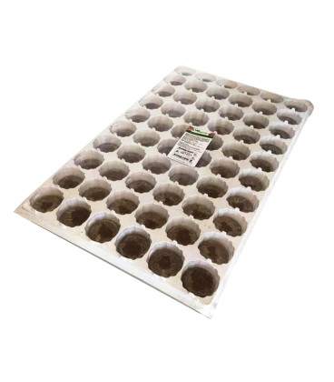 VG Garden 60 Plugs 44mm