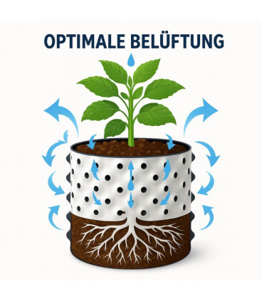 Root Plus Round Pot 1.5L