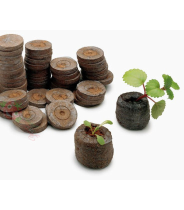 VG Garden 60 Plugs 44mm