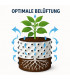 Root Plus rund potte 1.5L