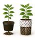 Root Plus rund potte 1.5L