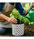 Root Plus rund potte 1.5L