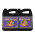 Advanced Nutrients Sensi Bloom 10L A/B