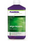 Plagron Alga Bloom 500ml