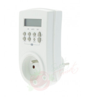 Digital Timer 3860W