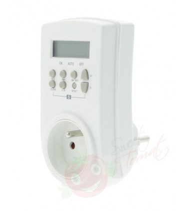 Digital Timer 3860W