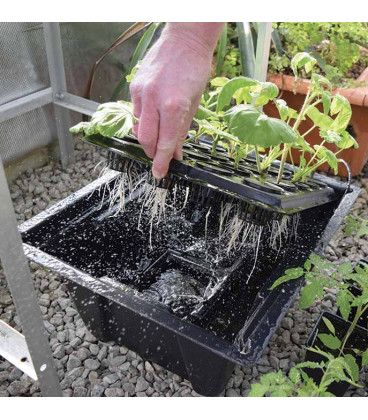 X-Stream aeroponic for 20 plants