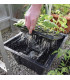 X-Stream aeroponic for 20 plants
