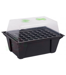 X-Stream aeroponic propagator for 40 planter