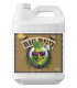 Big Bud Coco Advanced Nutrients 250ml