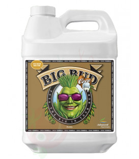 Big Bud Coco Advanced Nutrients 250ml