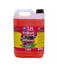 T.A. TriPart FloraBloom 5L