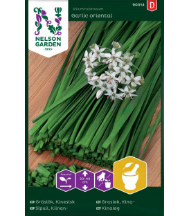 China chives