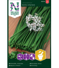 China chives