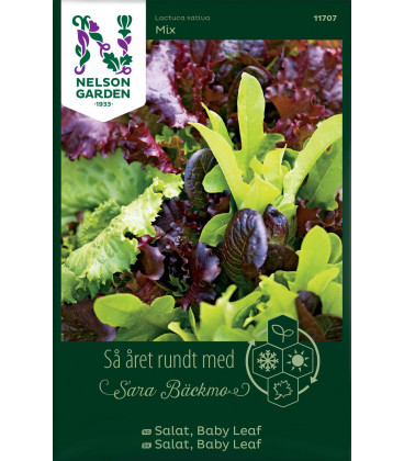 Salat Baby Leaf mix