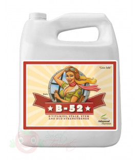 B-52 Advanced Nutrients 4L