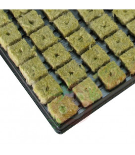 Grodan rockwoll propagation mat with 77 cubes